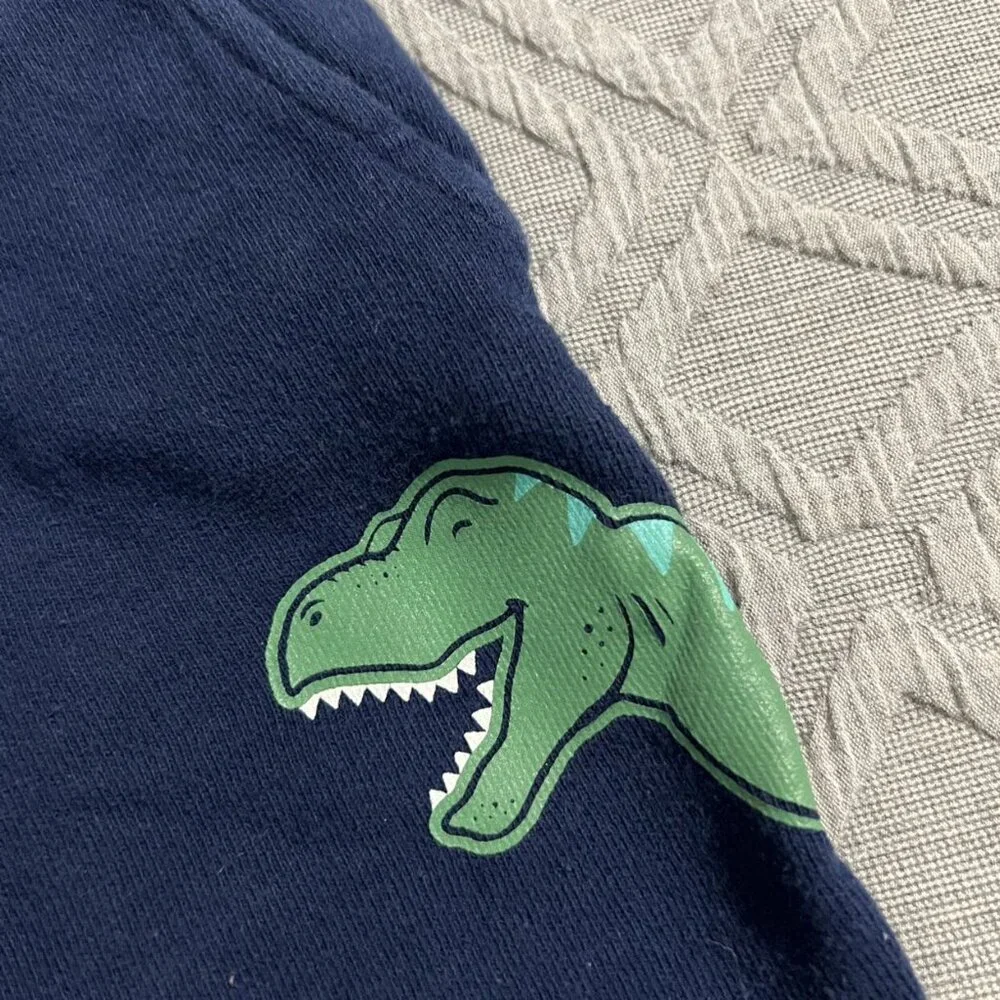 Carter's 24m Navy Blue T-Rex Dinosaur Jogger Pants Sweatpants